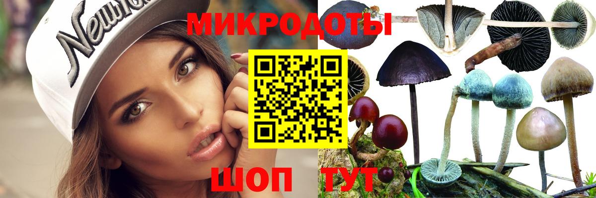 Псилоцибиновые грибы мухоморы Лесозаводск